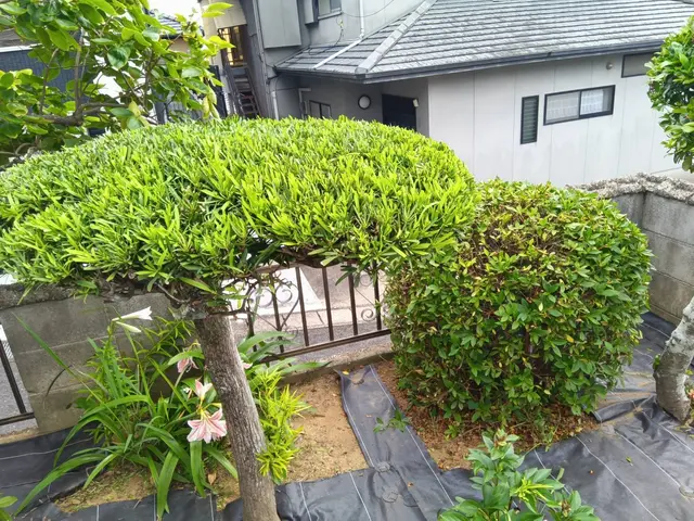 お客様のお力になります！経験と知識を活かして迅速丁寧に作業いたしますサービスの画像