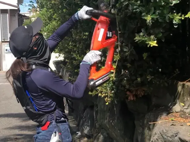 植え込み・生垣の剪定サービスの画像