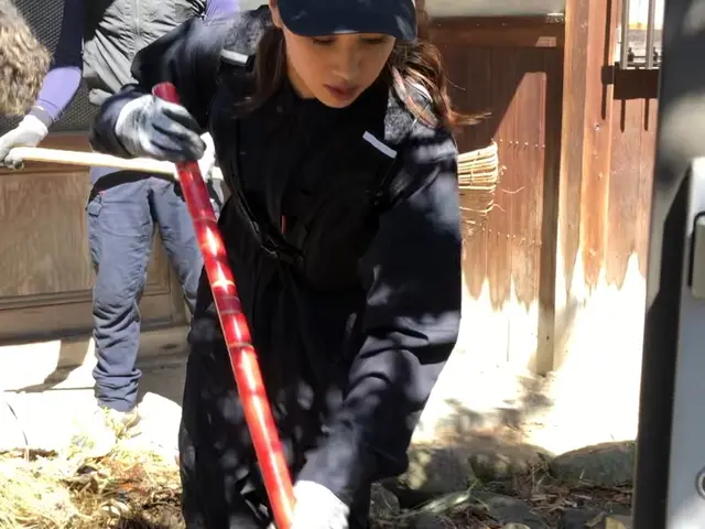 植え込み・生垣の剪定サービスの画像