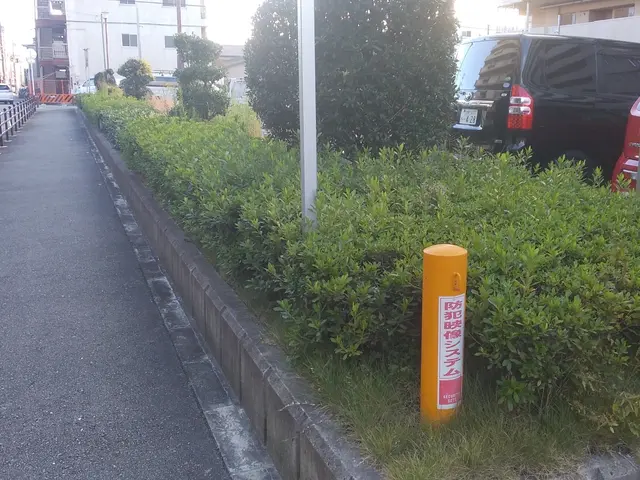 植え込み・生垣の剪定サービスの画像