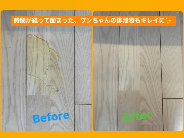 ペット向け清掃可能！作業中立ち会い不要で、清掃中に趣味・お出かけ自由にできます！サービスの画像