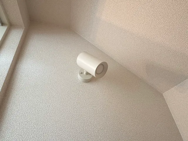 《初掲載記念》2月・3月限定価格で提案いたします！照明の増設も大歓迎！サービスの画像