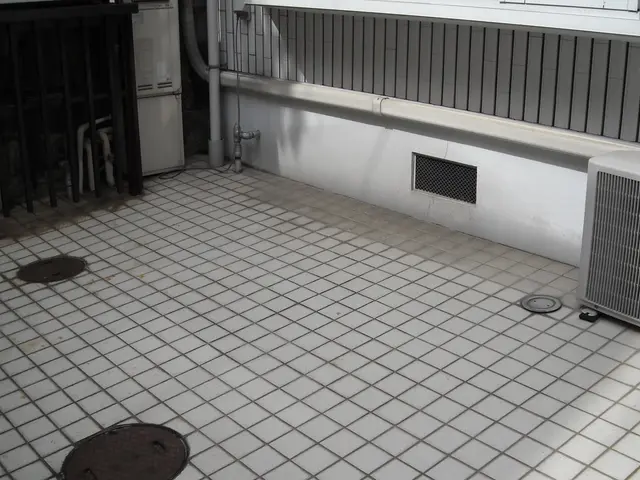 玄関、アプローチのタイル洗浄サービスの画像