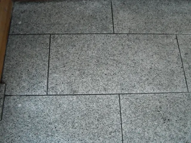 玄関、アプローチのタイル洗浄サービスの画像