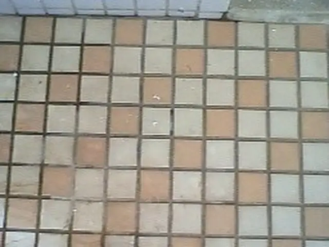 玄関、アプローチのタイル洗浄サービスの画像