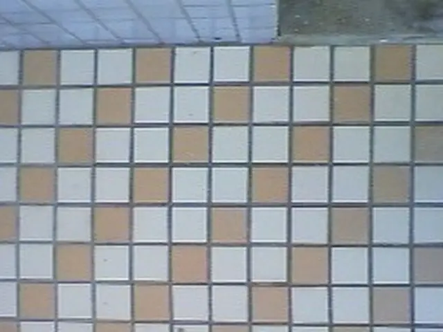 玄関、アプローチのタイル洗浄サービスの画像