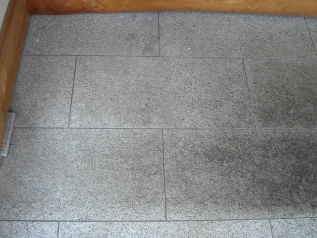 玄関、アプローチのタイル洗浄サービスの画像