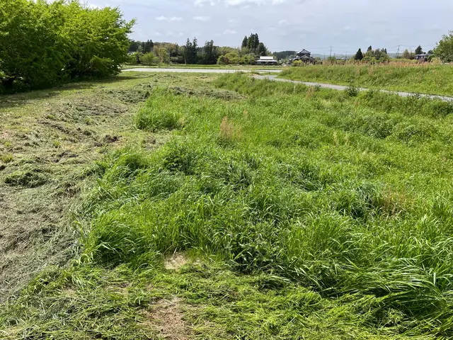 ◆草刈り・路盤整備◆森川が丁寧・安心の施工をお届け！サービスの画像