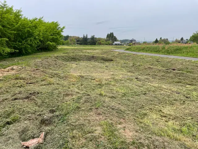 ◆草刈り・路盤整備◆森川が丁寧・安心の施工をお届け！サービスの画像
