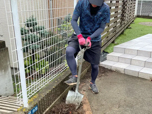 【他社より安い！】県内ご対応の大好評中な伐採・抜根サービスを実感下さい！サービスの画像