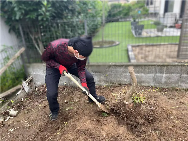 【他社より安い！】県内ご対応の大好評中な伐採・抜根サービスを実感下さい！サービスの画像