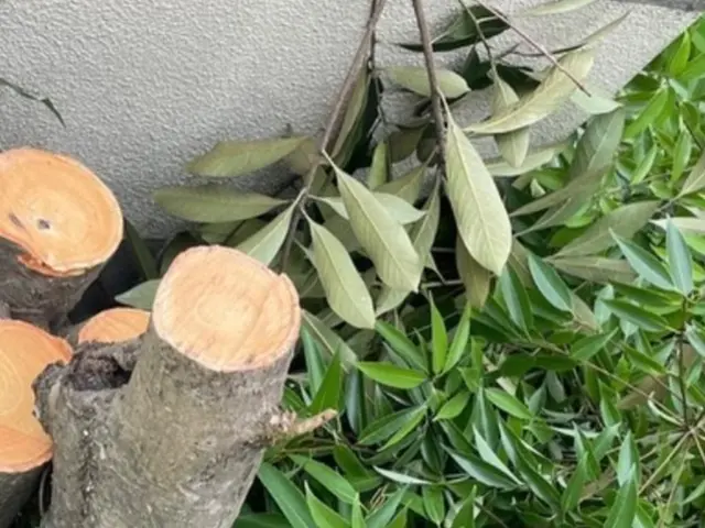 【他社より安い！】県内ご対応の大好評中な伐採・抜根サービスを実感下さい！サービスの画像