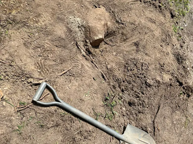 【他社より安い！】県内ご対応の大好評中な伐採・抜根サービスを実感下さい！サービスの画像