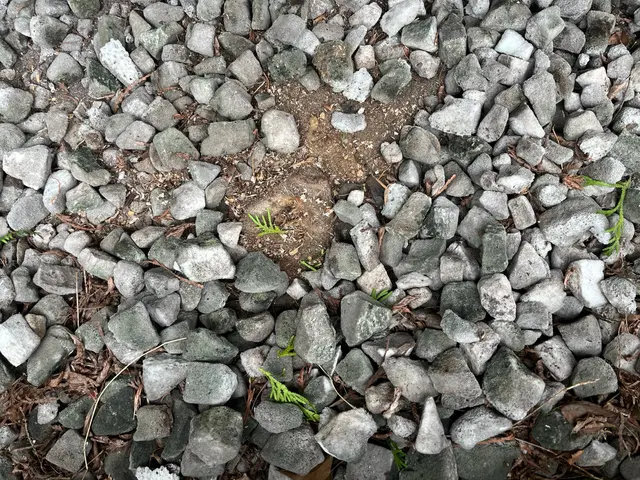 【他社より安い！】県内ご対応の大好評中な伐採・抜根サービスを実感下さい！サービスの画像