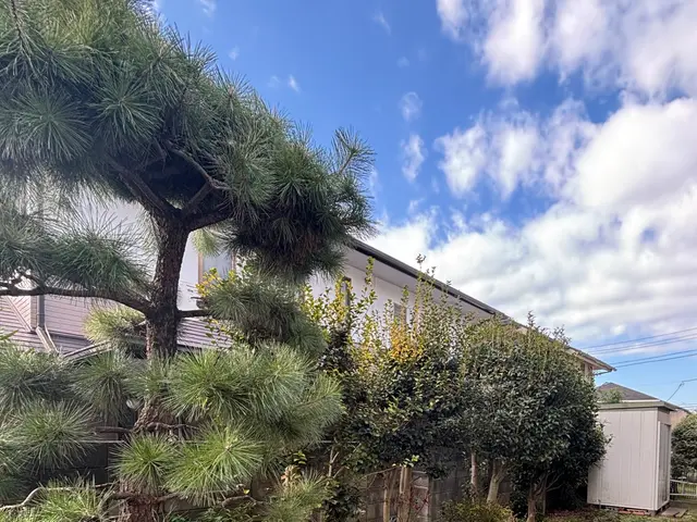 精一杯対応します！ぜひ当店にお任せくださいサービスの画像