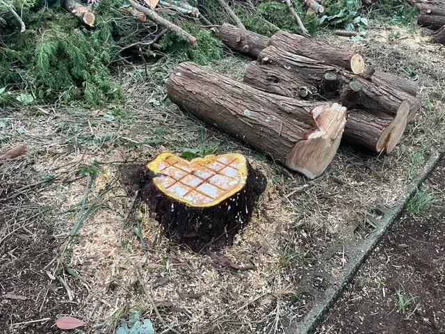 精一杯対応します！ぜひ当店にお任せくださいサービスの画像