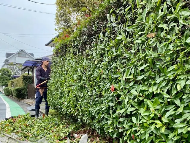 《庭師》【非喫煙者】【早いレスポンス】【仕事迅速丁寧】◆信頼と実績の10年サービスの画像