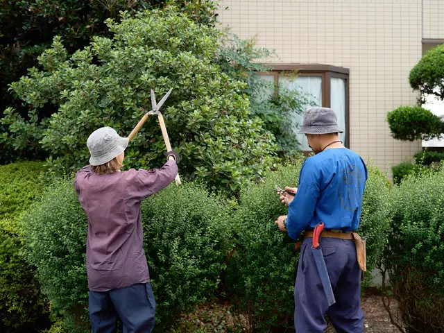 《庭師》【非喫煙者】【早いレスポンス】【仕事迅速丁寧】◆信頼と実績の10年サービスの画像