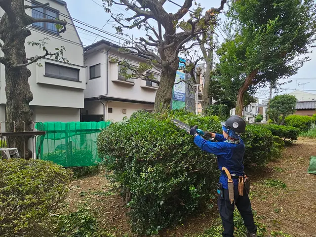 《庭師》【非喫煙者】【早いレスポンス】【仕事迅速丁寧】◆信頼と実績の10年サービスの画像