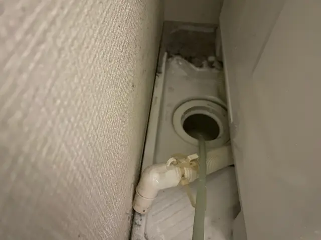 1000件以上の実績！あなたのマンション・アパートに特化したプロのサービスサービスの画像