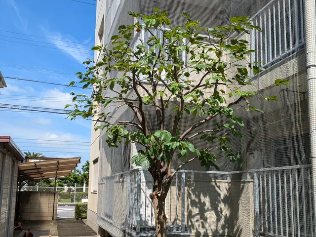 創業100年以上の信頼と実績！安全第一でお庭を美しく整えますサービスの画像