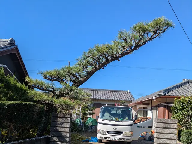 創業100年以上の信頼と実績！安全第一でお庭を美しく整えますサービスの画像