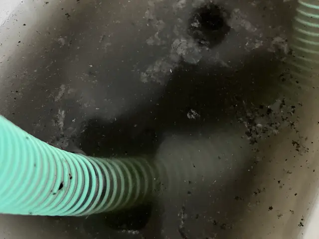 ₊⁎˚✧＼丁寧・女性対応可／˚✧₊⁎ハウスクリーニング実績200件以上！サービスの画像