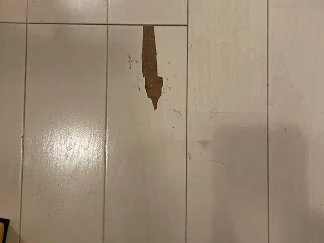 フローリング補修サービスの画像