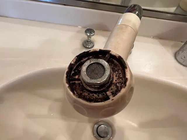 写真の私が伺います。掃除も運転もお任せ下さい！サービスの画像