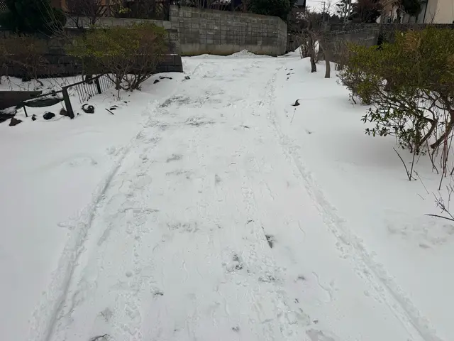 雪かきのお手伝い致します！！サービスの画像