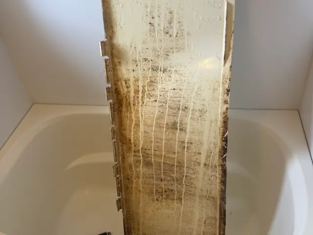 安心の自社スタッフ対応！快適空間を実現サービスの画像