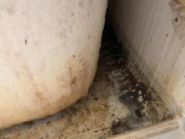 安心の自社スタッフ対応！快適空間を実現サービスの画像