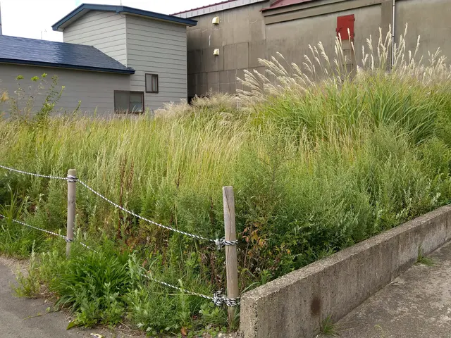 《山林作業実績10年》お住まいの困りごと解決　些細な事でもご相談下さい。サービスの画像