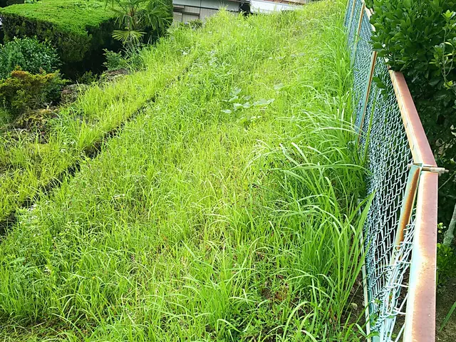 荒れてしまった敷地を綺麗にします！その後の砂利敷きや人工芝もお任せください！サービスの画像