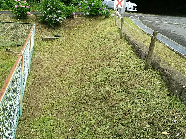 荒れてしまった敷地を綺麗にします！その後の砂利敷きや人工芝もお任せください！サービスの画像