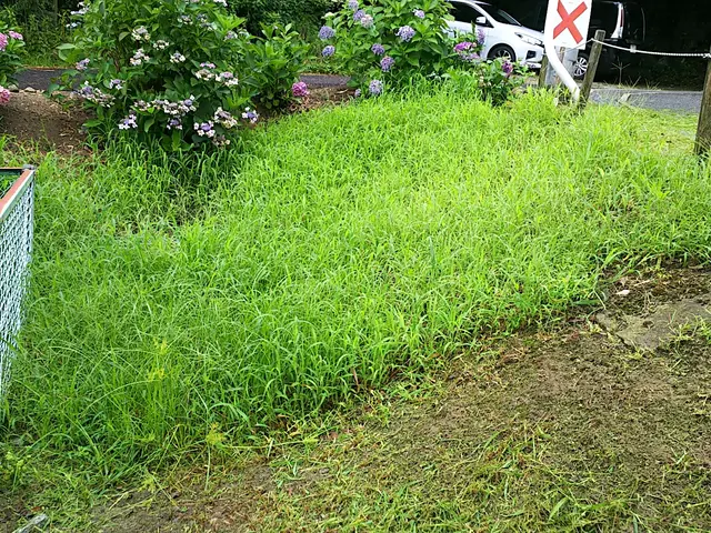 荒れてしまった敷地を綺麗にします！その後の砂利敷きや人工芝もお任せください！サービスの画像