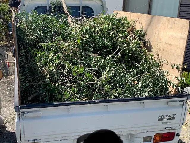 手のつけられない程の草刈り！喜んで引き受けます！もちろん少量の草刈りもOK！サービスの画像