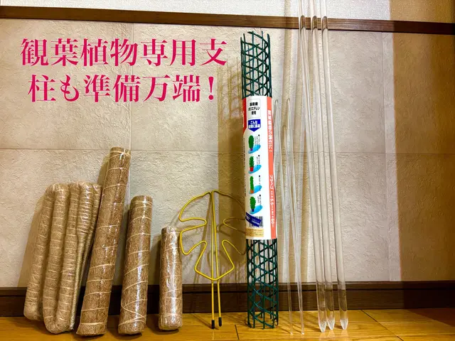 【１級根っこ診断士】根っこの不思議を解説する鉢植替え★ タワマンなど年間百鉢以上サービスの画像