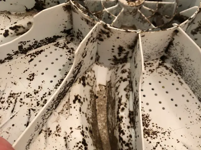 【ワセリン-カビ-レジオネラ】完全対応。他社に断られたなどお困り方は、ぜひ当店へサービスの画像