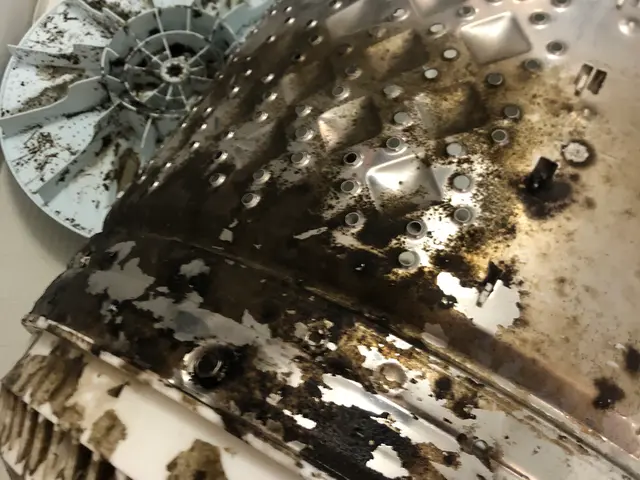 【カビ専門】乾燥の季節、衣類を脱カビ、スッキリとサービスの画像