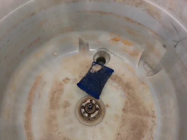 【カビ専門】乾燥の季節、衣類を脱カビ、スッキリとサービスの画像