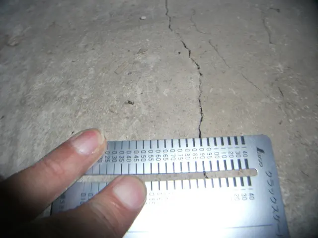 【東京発・欠陥住宅撲滅を目指す住宅診断】 ミニレクチャー付★実績1600件以上サービスの画像