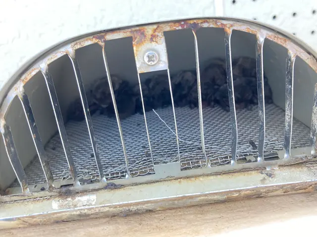 コウモリ徹底駆除！日々のストレスからお客様が安心して暮らせる為に頑張ります。サービスの画像