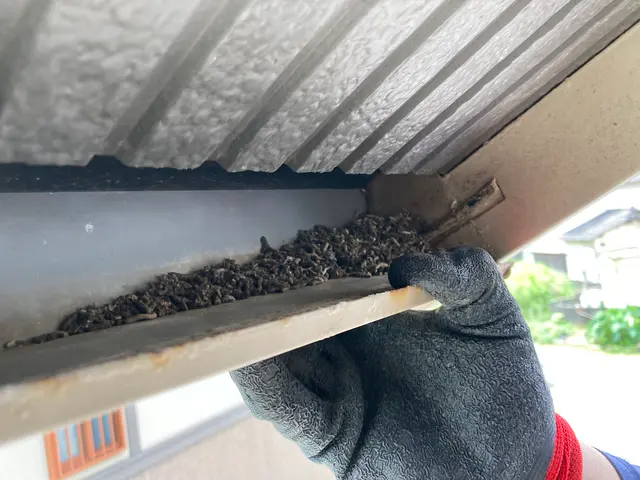 コウモリ徹底駆除！日々のストレスからお客様が安心して暮らせる為に頑張ります。サービスの画像