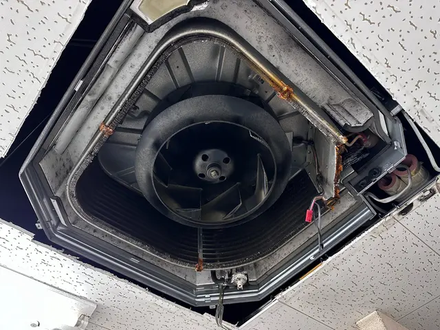 エアコンバイオ洗浄・夏休み応援セット！光触媒無料・賠償保険対応店で安心です◎サービスの画像