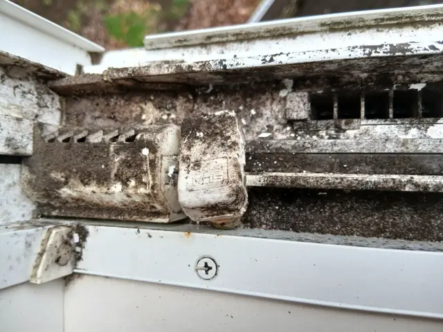 新年は６日から出動します♪明日のご注文にも対応します♪思い立ったらご連絡くださいサービスの画像