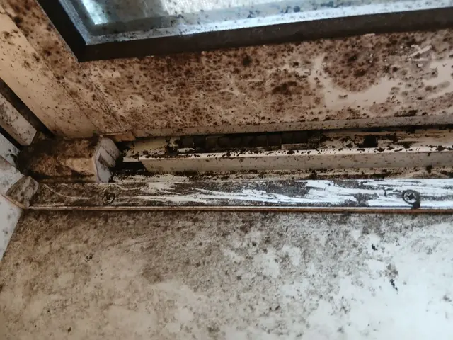 新年は６日から出動します♪明日のご注文にも対応します♪思い立ったらご連絡くださいサービスの画像