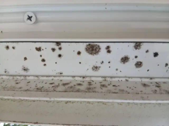 新年は６日から出動します♪明日のご注文にも対応します♪思い立ったらご連絡くださいサービスの画像