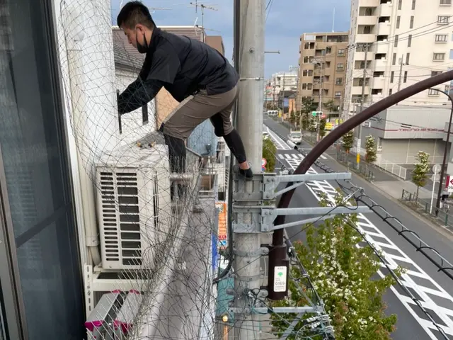 【多摩限定：相場の半額】鳩をネットで完全封鎖！外壁穴開ナシ！1年保証！損保加入済サービスの画像