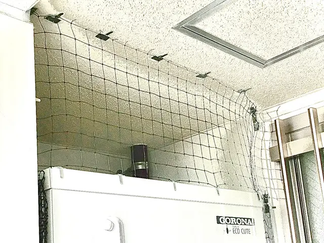 【多摩限定：相場の半額】鳩をネットで完全封鎖！外壁穴開ナシ！1年保証！損保加入済サービスの画像